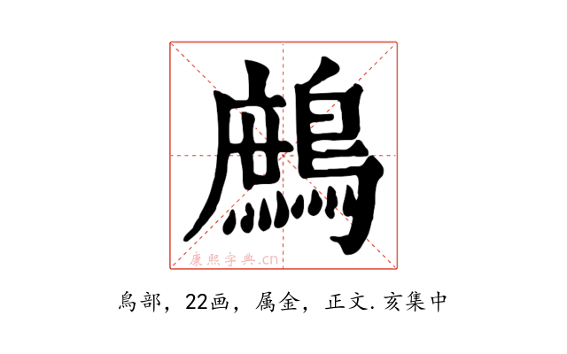 鷓
