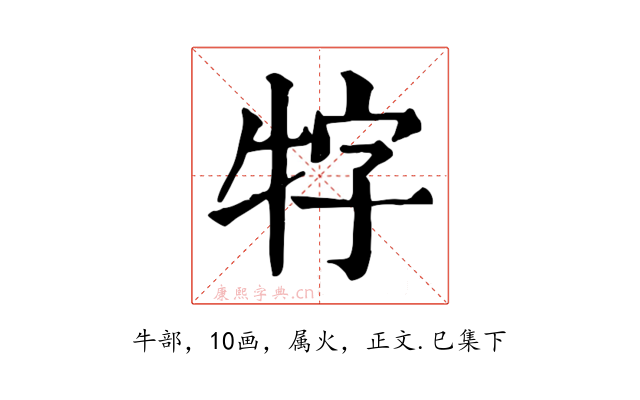 牸