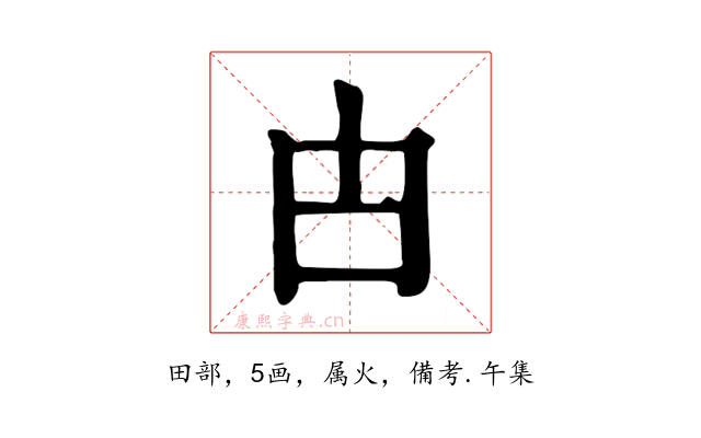 甴