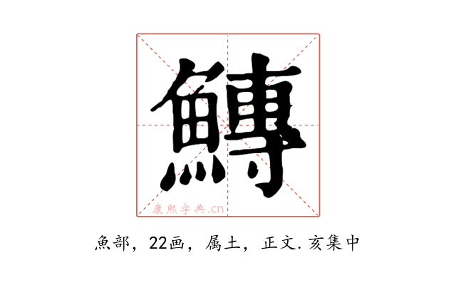 鱄