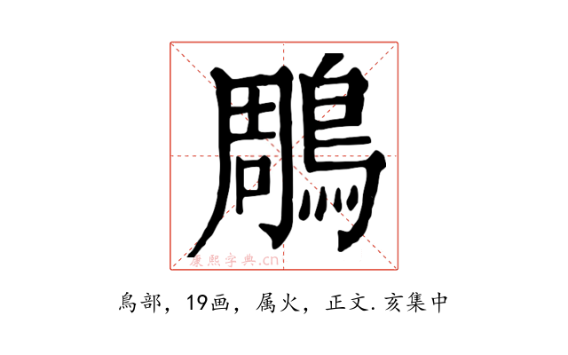 鵰