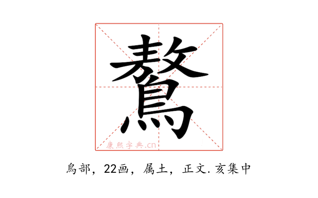 鷔