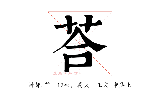 荅