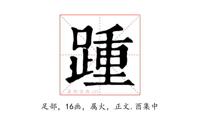 踵