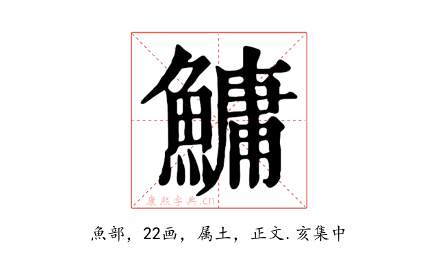 鱅