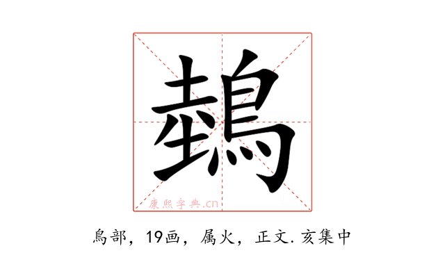 鵱