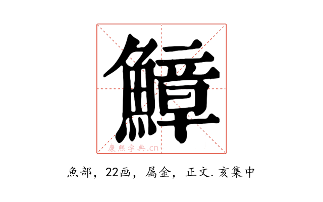 鱆