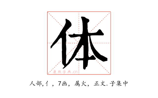 体
