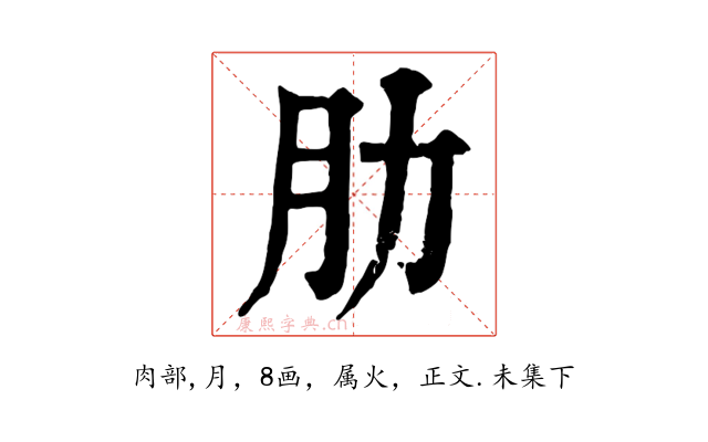 肋
