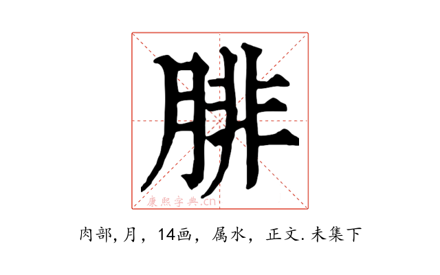 腓