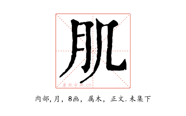 肌