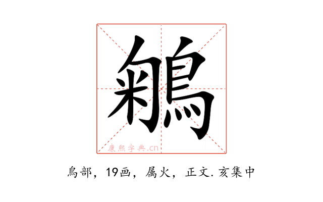 鵴