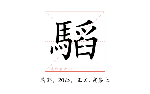 𩥅