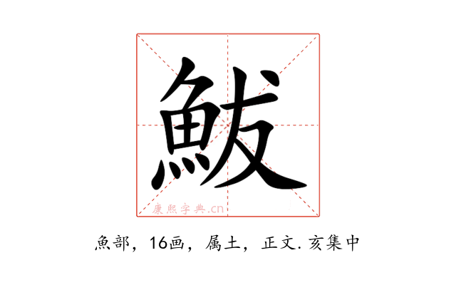 鮁