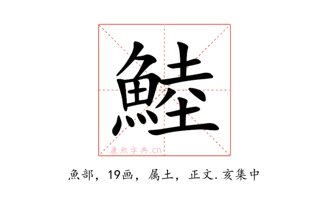 鯥