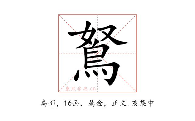 鴑