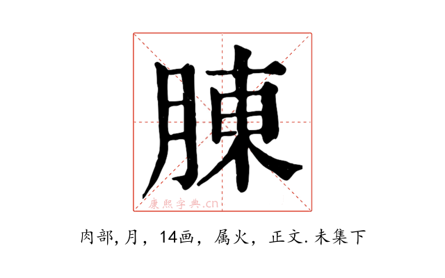 腖