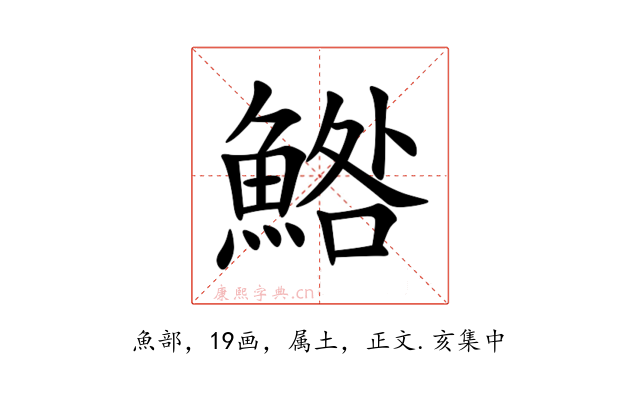 鯦