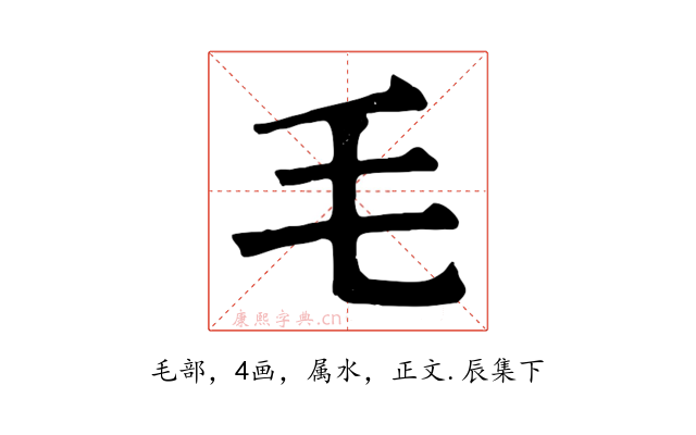 毛