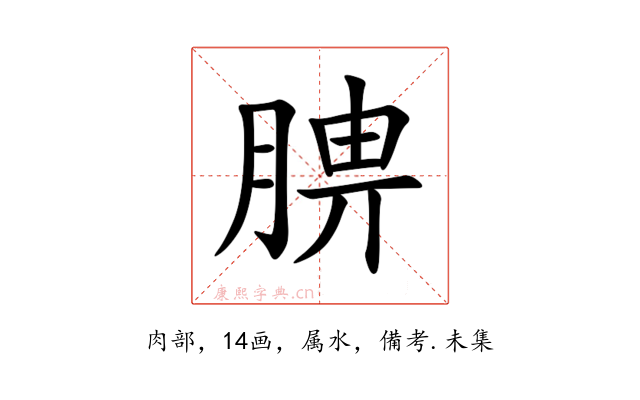 腗