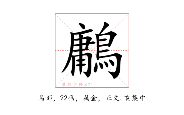 鷛