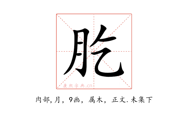 肐