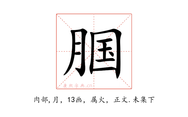 腘