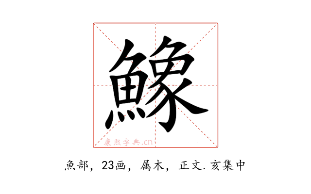 鱌