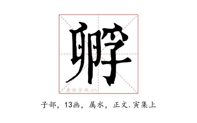 孵