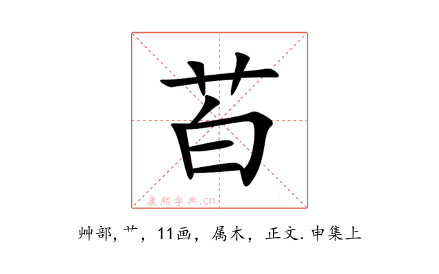 苩