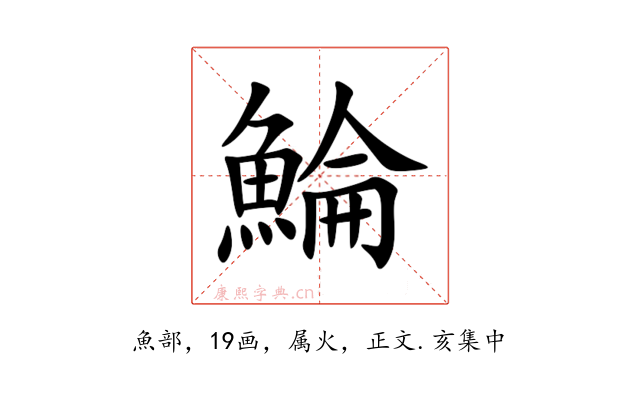 鯩