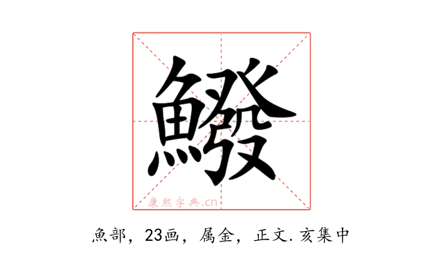 鱍