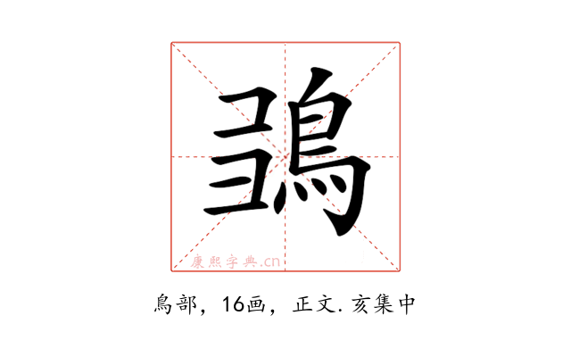 𩿮
