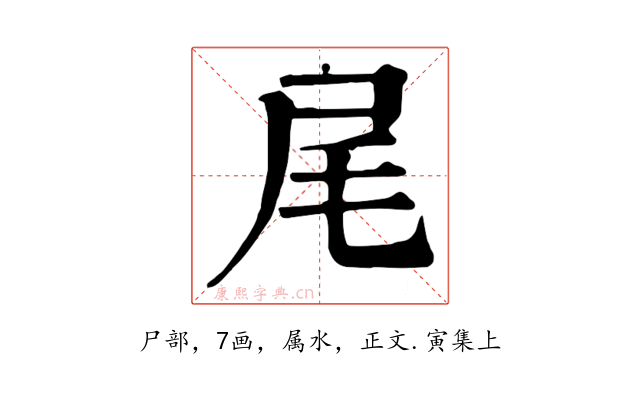 尾