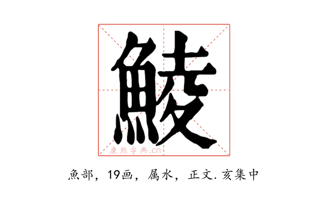 鯪