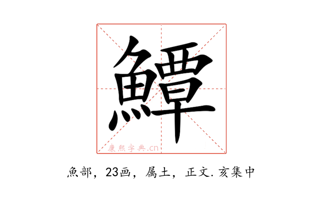 鱏