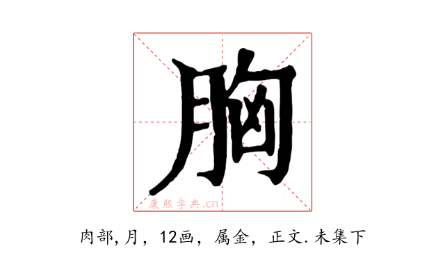 胸