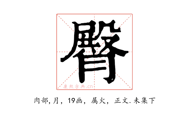 臀