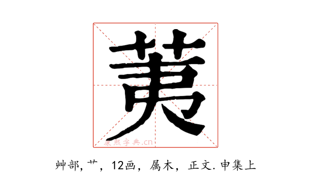 荑