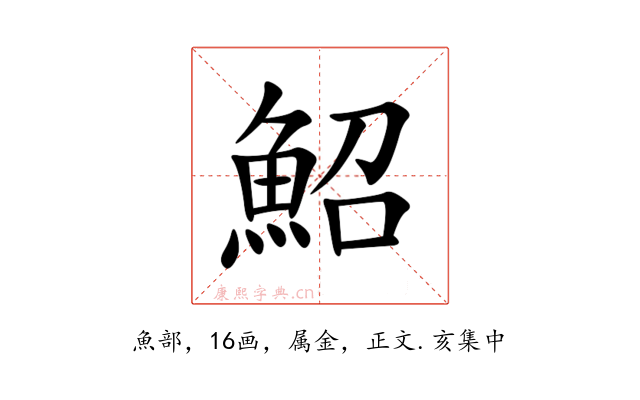 鮉
