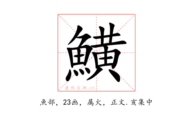 鱑