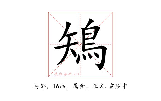 鴙
