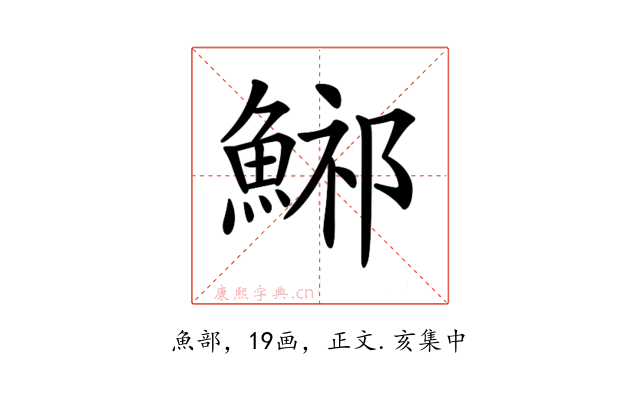 𩷾