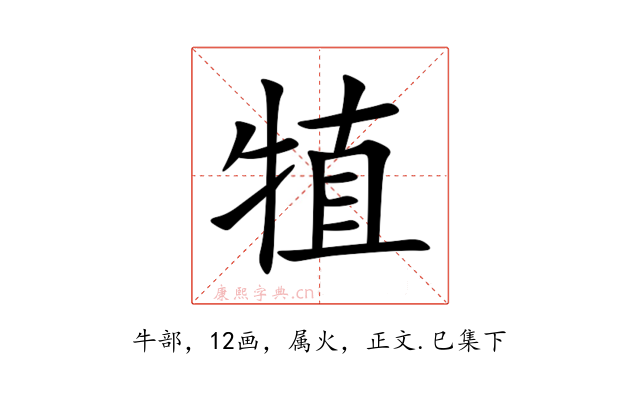 犆