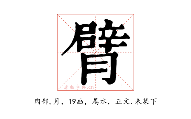 臂