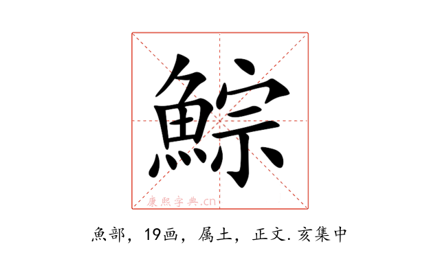 鯮