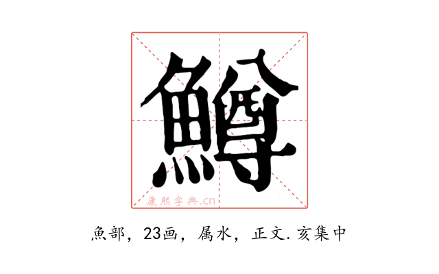 鱒