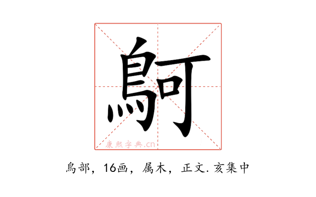 鴚