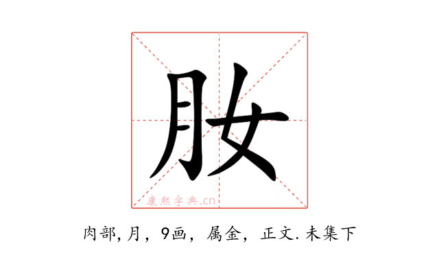 肗