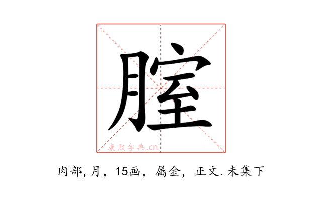 腟